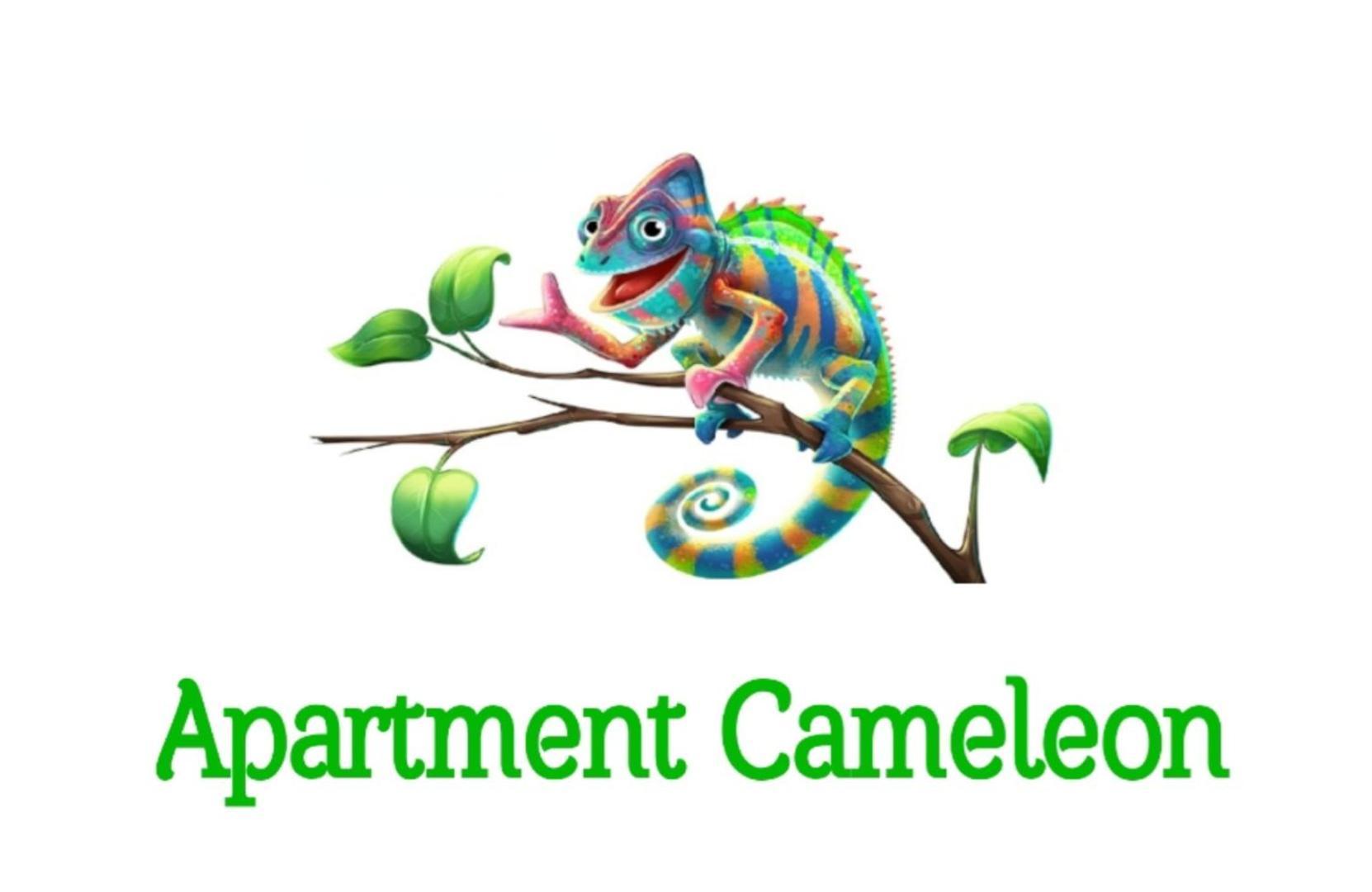 Apartment Cameleon Dubrovnik Ngoại thất bức ảnh